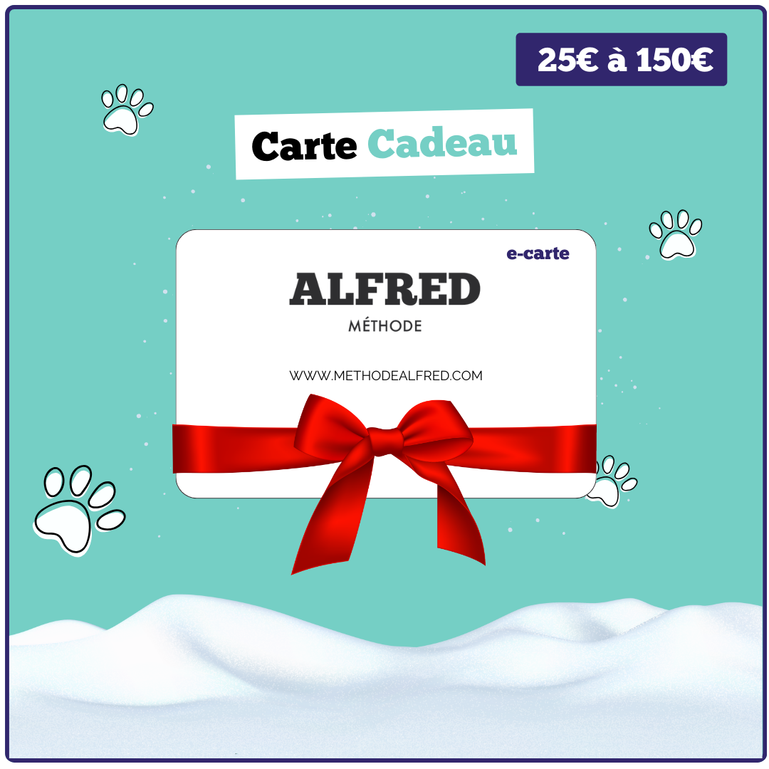 Carte Cadeau - Méthode ALFRED