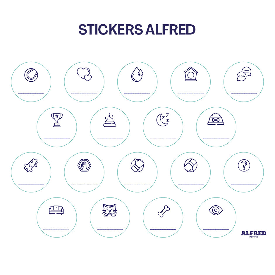 Pack Découverte - 4 buzzers + 1 Tapis