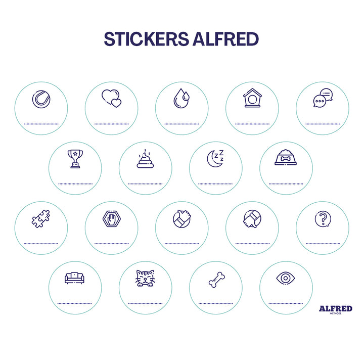 Pack Découverte - 4 buzzers + 1 Tapis